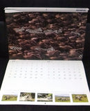 Earth Day Olympus Calendar Focus by Mitsuaki Iwago 2001