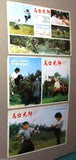 {Set of 12} He Walks Like a Tiger (Kuen Cheung) Kung Fu Original Lobby Card 70s