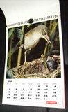 Gevaert Vintage Incompete Calendar Printed in Belgium 1963
