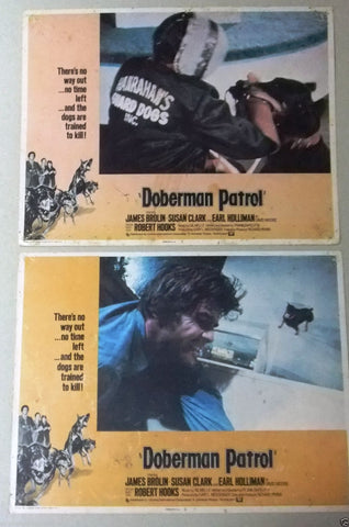 {Set of 8} Doberman Patrol {James Brolin} 11x14 Original U.S Lobby Cards 70s