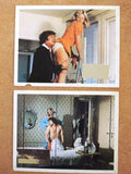 (Set of 12) Bettkanonen (Heidrun Hankammer, Judith Fritsc German Lobby Cards 70s