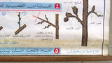 تكاثر النبات Plant reproduction Educational Arabic Original french Poster 1974
