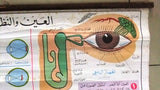 نظر، العين Eyes, Sight Educational Arabic Original French Poster 1974