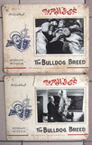 (Set of 8) THE BULLDOG BREED, NORMAN WISDOM Egyptian Arabic Lobby Card 60s