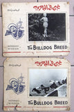 (Set of 8) THE BULLDOG BREED, NORMAN WISDOM Egyptian Arabic Lobby Card 60s