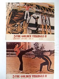 {Set of 9} The Golden Triangle Chang Lee Kung Fu 8x10" Movie Color Photos 70s