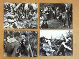 (Set of 21) Gungala (Kitty Swan) 7x9" Film Original B&W Stills RARE Photos 60s