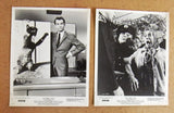 (Set of 9) That Darn Cat Hayley Mills 11x14 Org. U.S Lobby Cards +2 Photos 70s