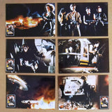 {Set of 12} Nasty Hunter (Barbara Anne Constabl) Original Movie Color Photos 80s