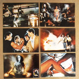 {Set of 12} Nasty Hunter (Barbara Anne Constabl) Original Movie Color Photos 80s