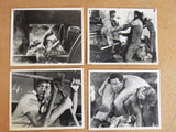 (Set of 19) Dark of the Sun (Rod Taylor) 10x8 Film Original Stills Photos 60s