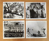 {Set of 8} The 14 Amazons {Lisa Lu} Kung Fu B&W ORG Photos 70s