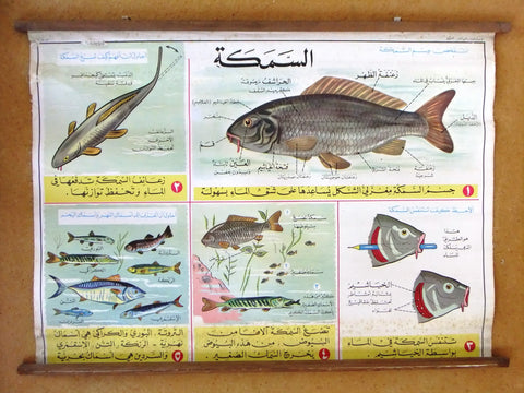 السمكة Fish Educational Arabic Original Lebanese Poster 1974