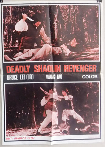 Deadly Shaolin Revenger Bruce Lee Jr Wang Tao Kung Fu Lebanese Movie Poster 70s