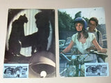 {Set of 11} Cazar un Gato Negro {SUE VANNER} 10X13" Spanish LOBBY CARD 70s