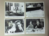 (Set of 41) SPLENDOR IN THE GRASS (WARREN BEATTY) Movie Original Photos 60s