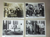 (Set of 41) SPLENDOR IN THE GRASS (WARREN BEATTY) Movie Original Photos 60s