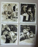 (Set of 41) SPLENDOR IN THE GRASS (WARREN BEATTY) Movie Original Photos 60s