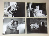 {Set of 20} Le Manie di Mr. Winninger Omicida Sessuale Waldemar Movie Photos 70s