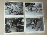 {Set of 15} Boxcar Bertha (Barbara Hershey) Movie Original Photos 70s