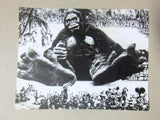 (Set of 7) KING KONG VS GODZILLA Movie Original Photos 60s