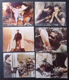 {Set of 15} Cannibal Apocalypse {John Saxon} ORG Movie Kodak Color Photos 70s