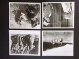 {Set of 26} Seven Alone {Dewey Martin} 8x10" Movie B&W/Color Photos 70s