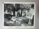 (Set of 9) BLOOD OF DRACULA Movie Orig Photos 1957