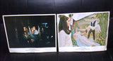 {Set of 8} Night Of Dark Shadows (Lara Parker) 11x14 Org. U.S Lobby Cards 70s