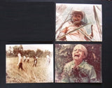 {Set of 8} The Savage Bees Christina Raines ORG Movie Photos 70s