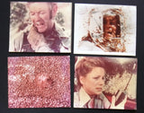 {Set of 8} The Savage Bees Christina Raines ORG Movie Photos 70s