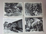 (Set of 19) DARK OF THE SUN (PETER CARSTEN) Movie Orig Photos 60s