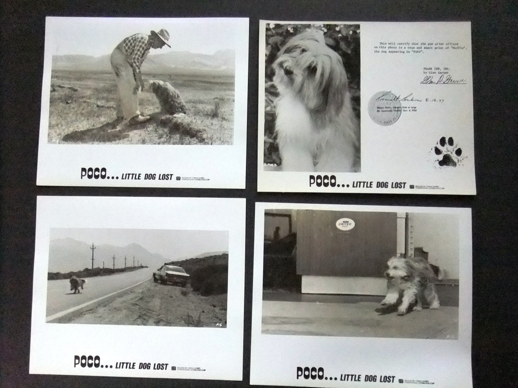 {Set of 18} Poco the adventures of a little dog lost ORG Movie Photos ...