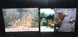 (Set of 8) 36 Super Kids (Sonny Yu)‎ Rare Kung Fu ORG Lobby Card 80s