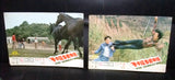 (Set of 7) The Bravest One {Wong Yuen Sunl} Original Kung Fu Lobby Card 70s