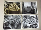 (SET OF 28) They Who Dare (Dirk Bogarde) Original Movie Photos 50s