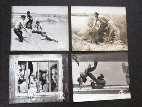 {Set of 6} The Swamp {Vera Krouska} 8x10" Movie B&W Photos 70s