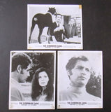 {Set of 36} The Doberman Gang {Jack Stauffer} ORG Movie Stills Photos 70s