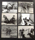 {Set of 36} The Doberman Gang {Jack Stauffer} ORG Movie Stills Photos 70s