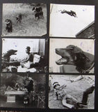 {Set of 36} The Doberman Gang {Jack Stauffer} ORG Movie Stills Photos 70s