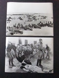 (SET OF 18) Lion of the Desert Omar Mukhtar Anthony Quin Org. Movie Photos 80s