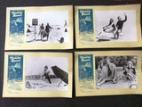 {Set of 15} Malibu Beach Kim Lankford 9.5x15'' Original int. B&W Lobby Cards 70s