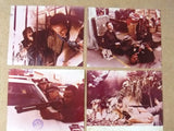 {Set of 15} Cannibal Apocalypse {John Saxon} ORG Movie Kodak Color Photos 70s