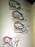 كتاب الحمل والولادة, مصطفى الخالدي Arabic Lebanese Pregnancy & Birth Book 1963