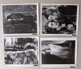 {Set of 26} Night Of Dark Shadows (Kate Jackson) Movie Stills Original B&W 70s