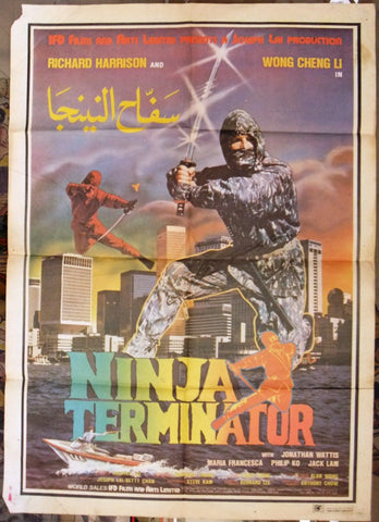 Ninja Terminator Poster
