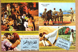 بروجرام فيلم عربي مصري قطط شارع الحمرا Arabic Egypt Film Program/Poster 70s