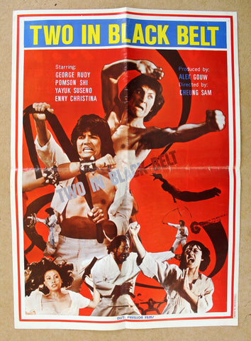 Two in Black Belt (Ti Chen) 20x27" Lebanese Kung Fu Movie Poster 70s