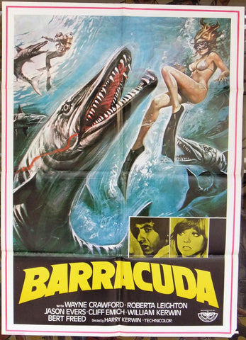 Barracuda Poster