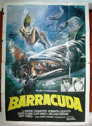 Barracuda 4F Poster